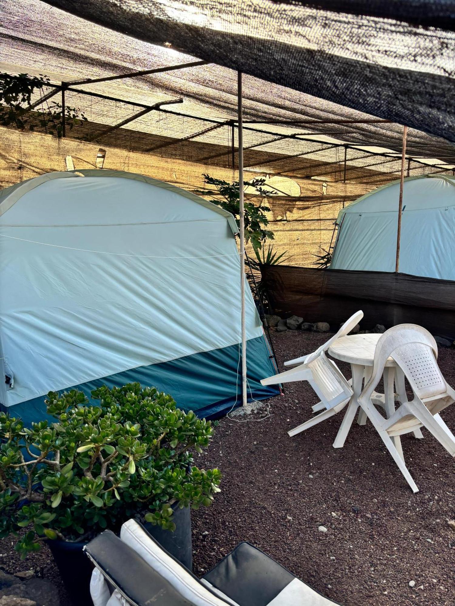 Camping Invernaderito Tejina Exterior photo